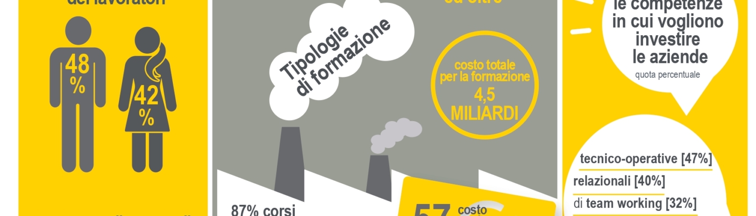 infografica istat formazione